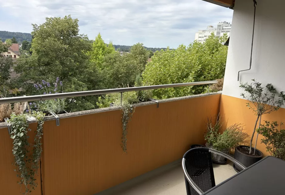 Balkon neu.jpg